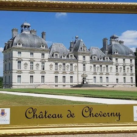 Les Capucines Proche Beauval & Chateaux Saint-Aignan  Eksteriør bilde