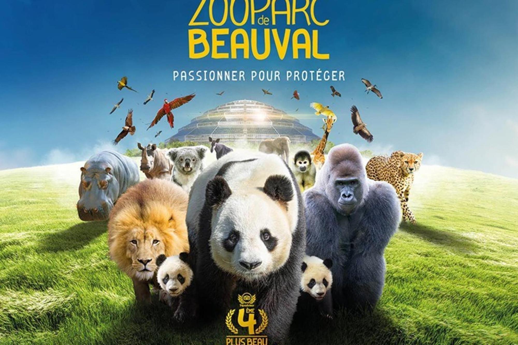 Les Capucines Proche Beauval & Chateaux Saint-Aignan  Eksteriør bilde